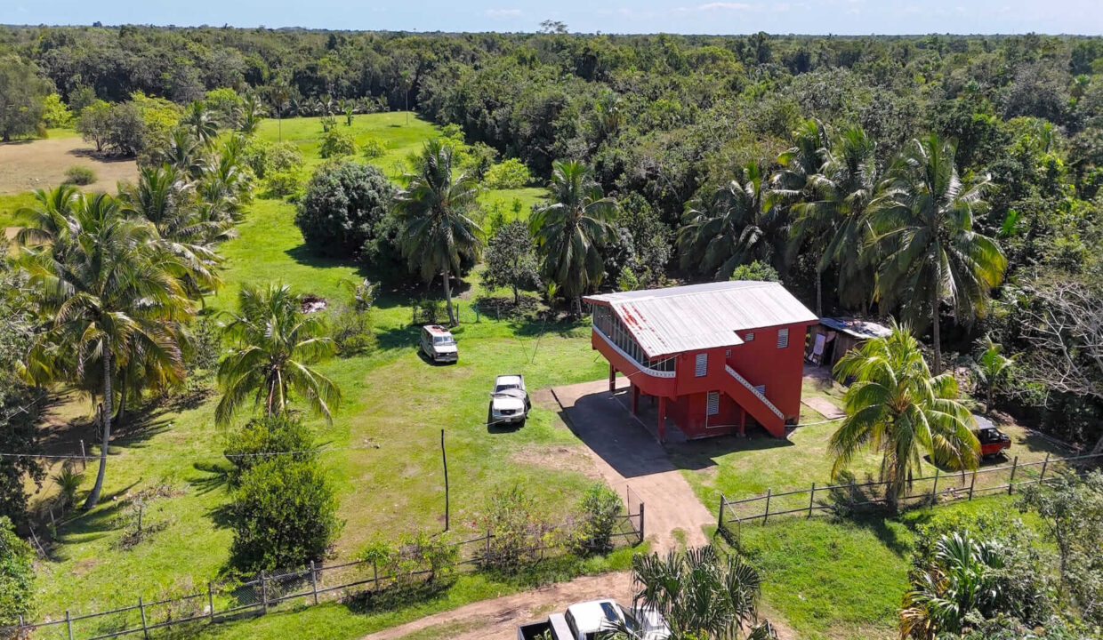DJI_20250225121150_0020_D