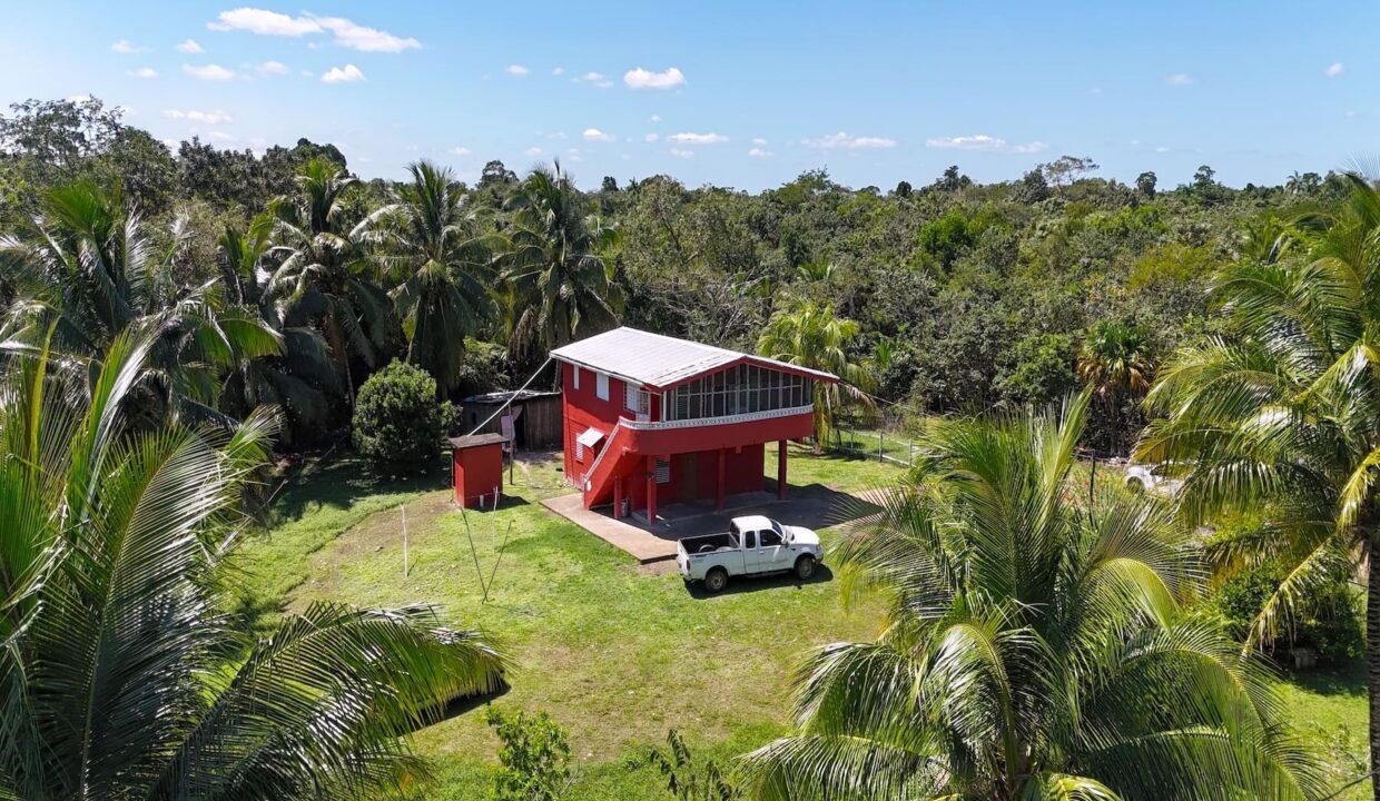 DJI_20250225121250_0022_D