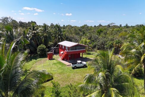 DJI_20250225121250_0022_D
