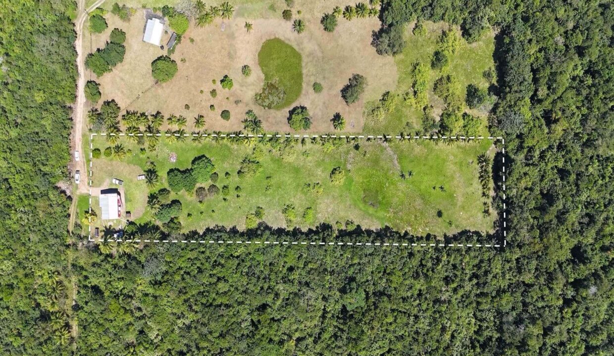DJI_20250225121445_0026_D
