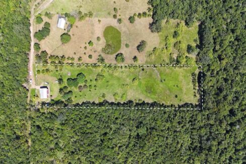 DJI_20250225121445_0026_D