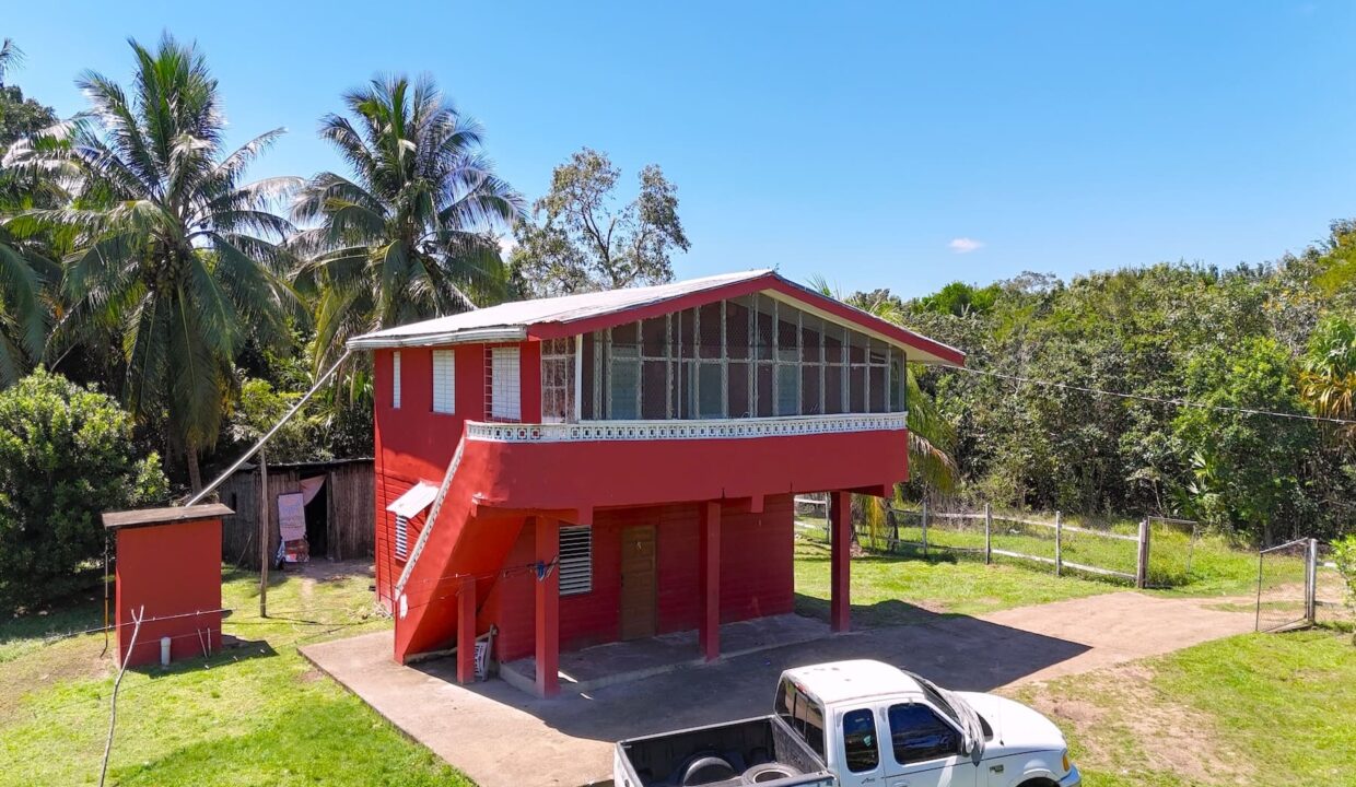 DJI_20250225121706_0031_D