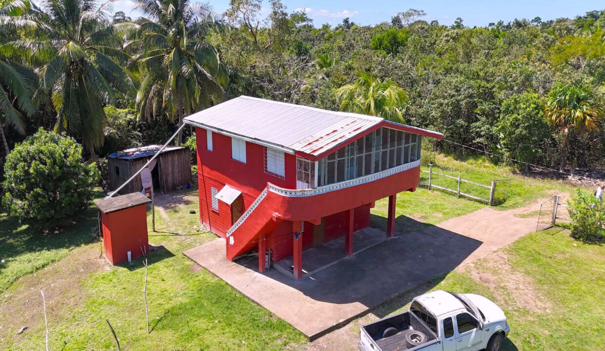 DJI_20250225121739_0033_D