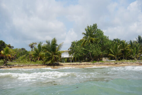 DSC00050-1