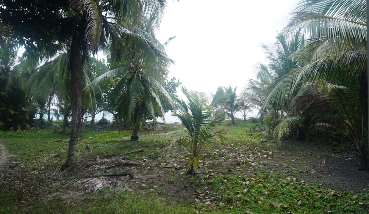 DSC00059