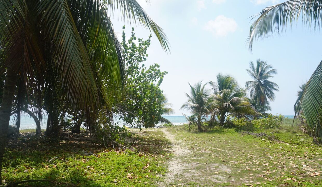 DSC00069