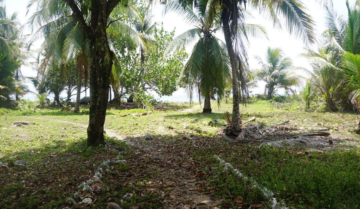 DSC00098
