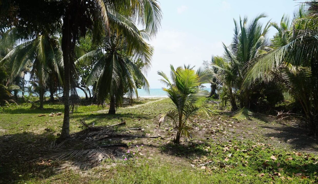 DSC00099
