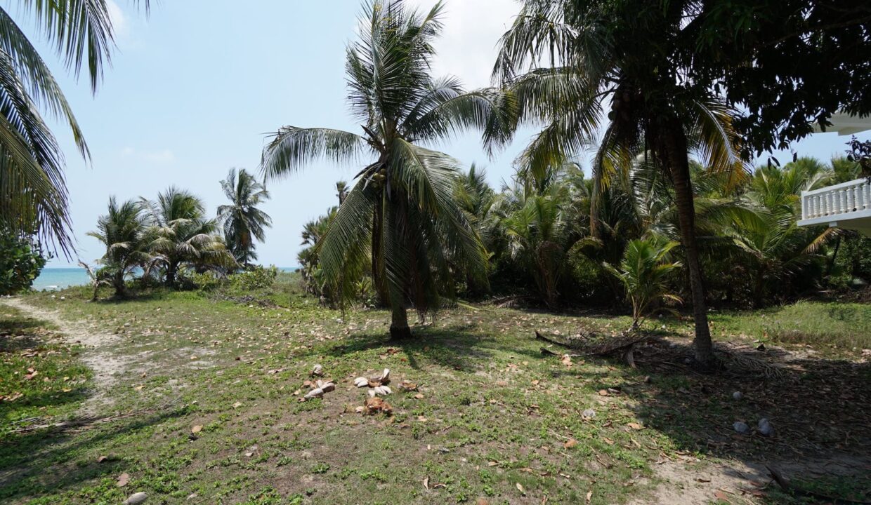 DSC00140
