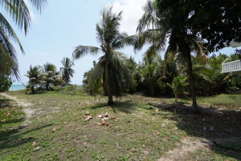 DSC00140
