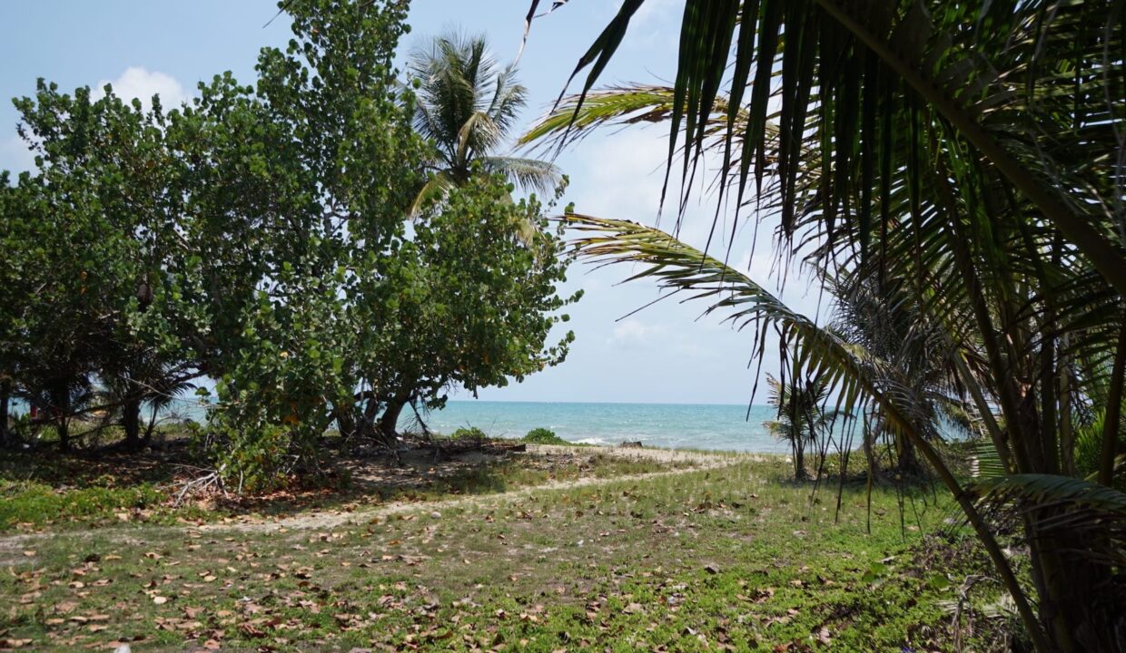 DSC00147-1
