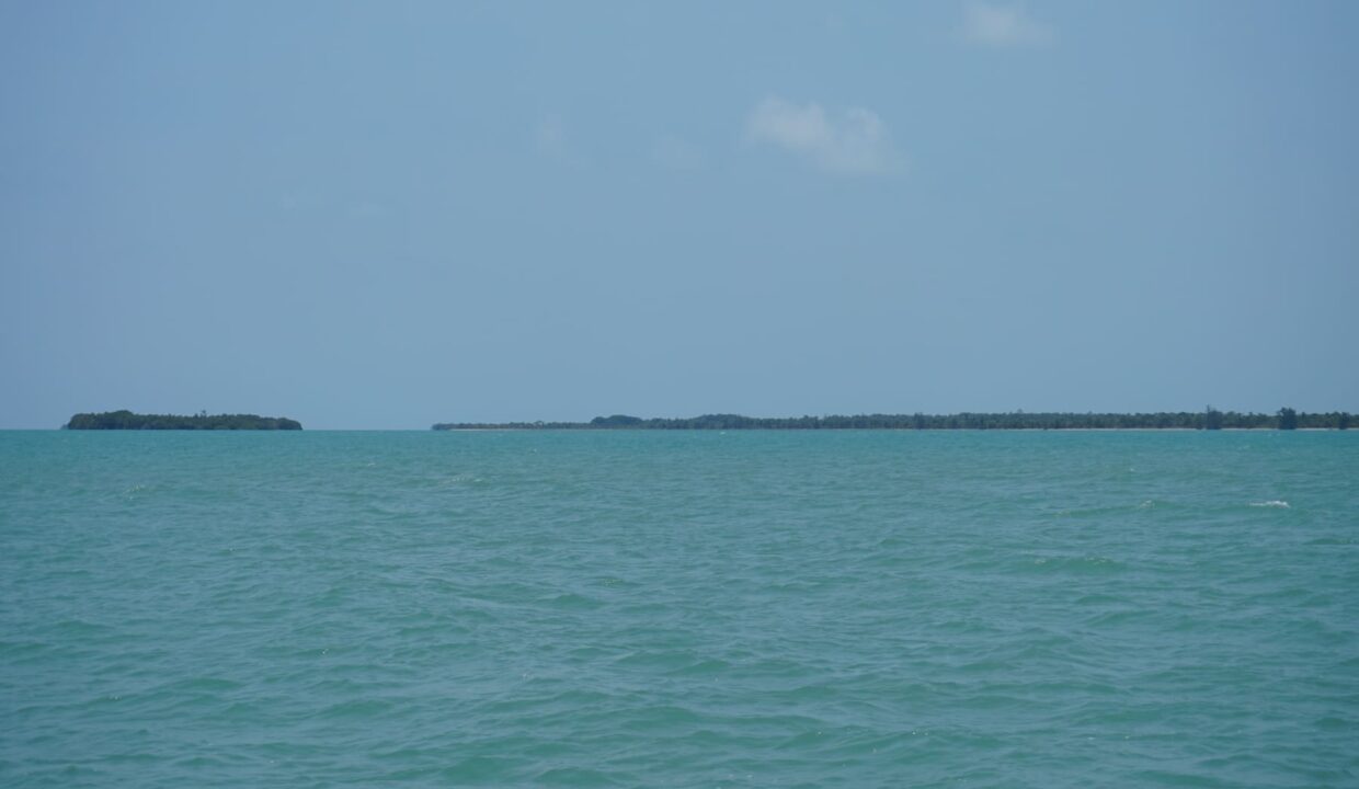 DSC00162