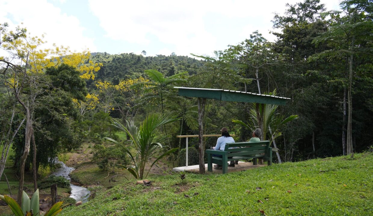 DSC02220