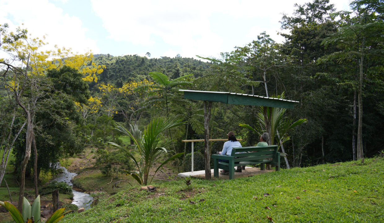 DSC02220-7