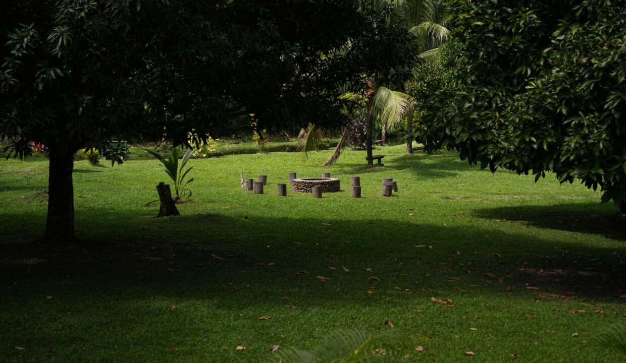 DSC02360-2