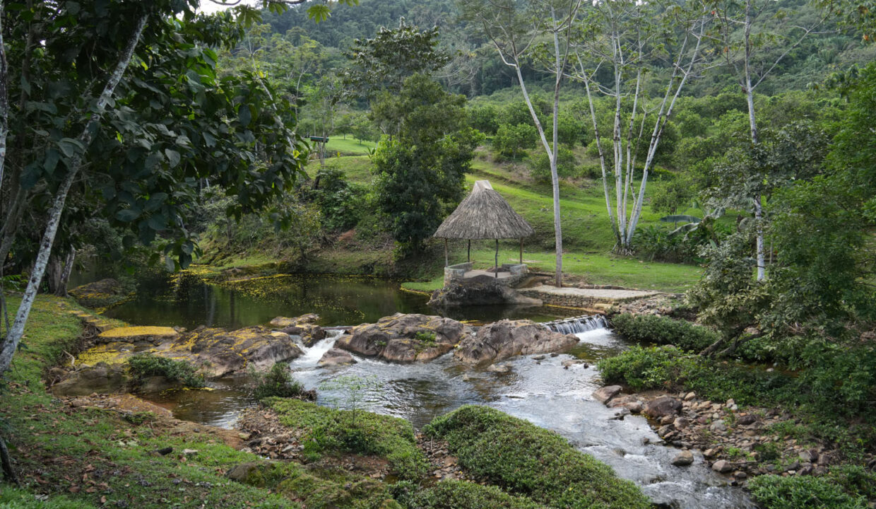DSC02363-1