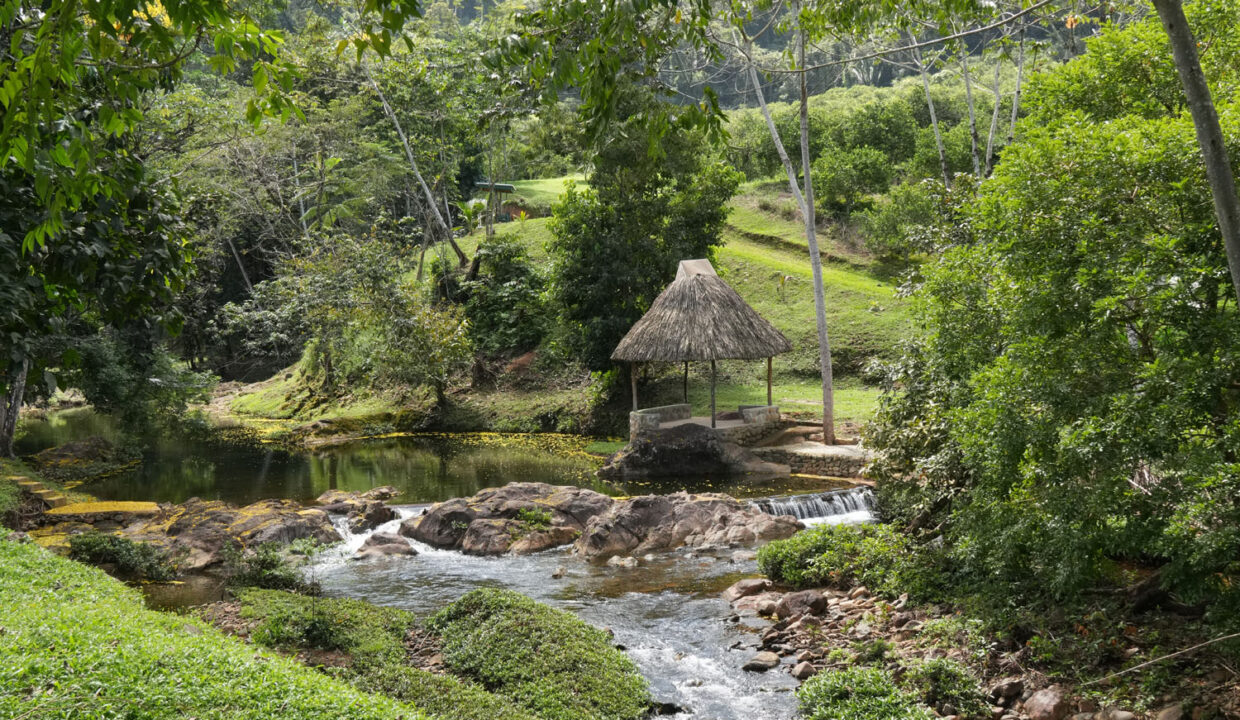 DSC02384-1