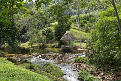 DSC02384-1