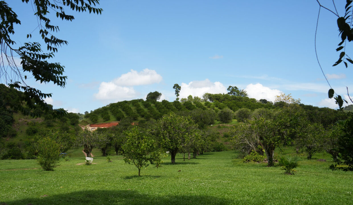 DSC02403-7