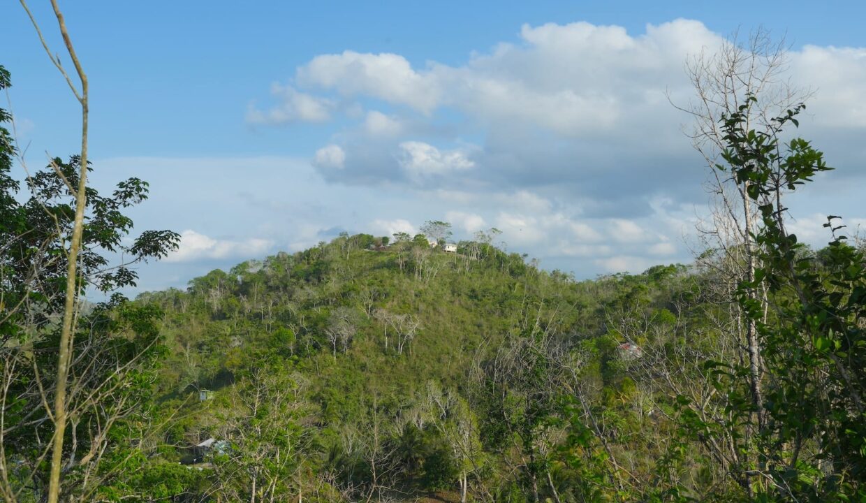 DSC04121