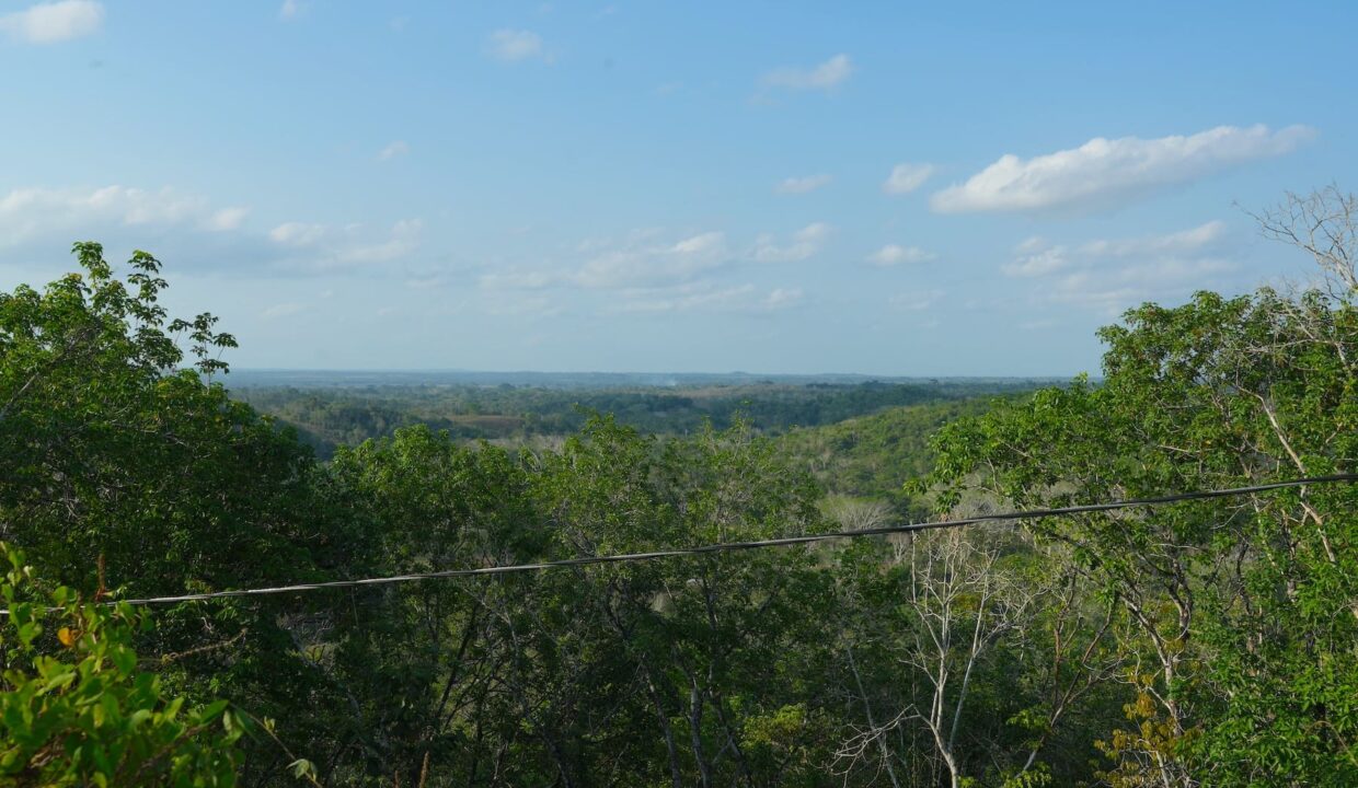 DSC04138