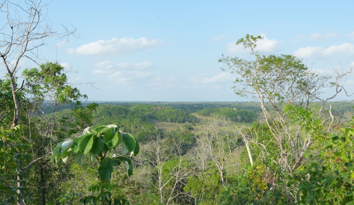 DSC04140