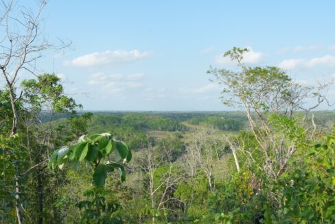 DSC04140
