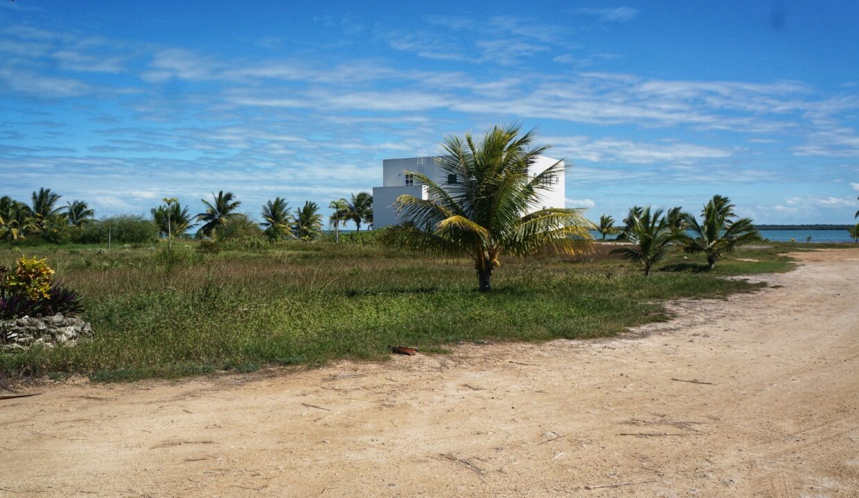 DSC07269-01