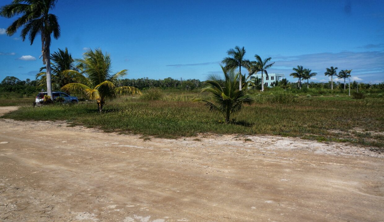 DSC07270-01