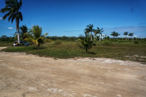 DSC07270-01