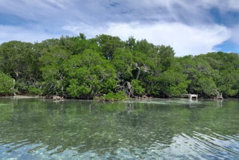Driftwood-Caye-entrance-800x0-c-center