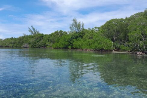 Driftwood-Caye-view-from-the-water-800x0-c-center