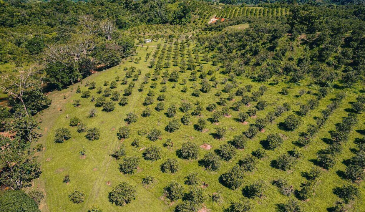 Eco20Park2028229