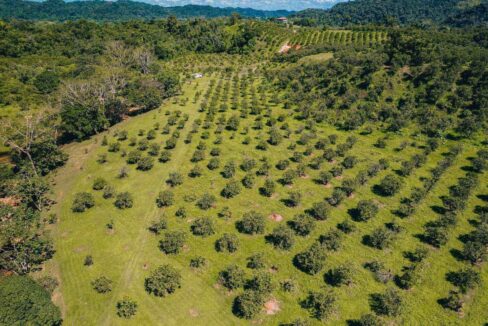 Eco20Park2028229