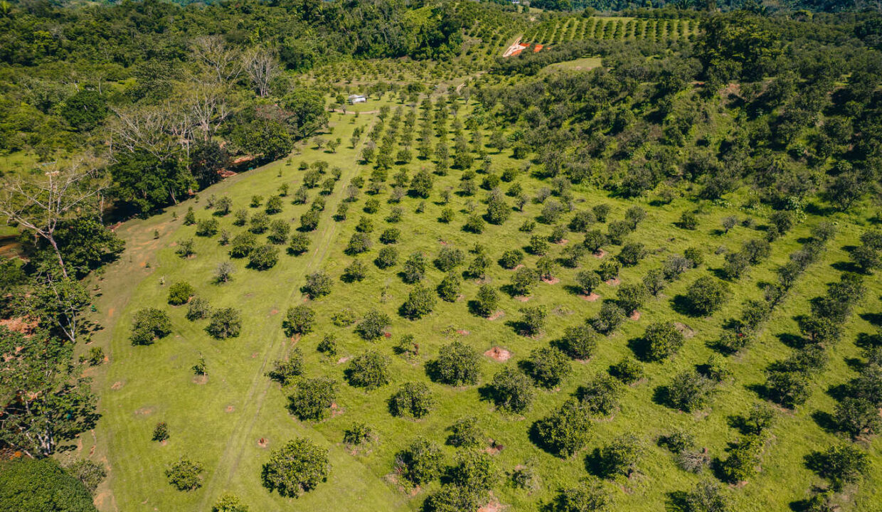 Eco20Park2028229-7