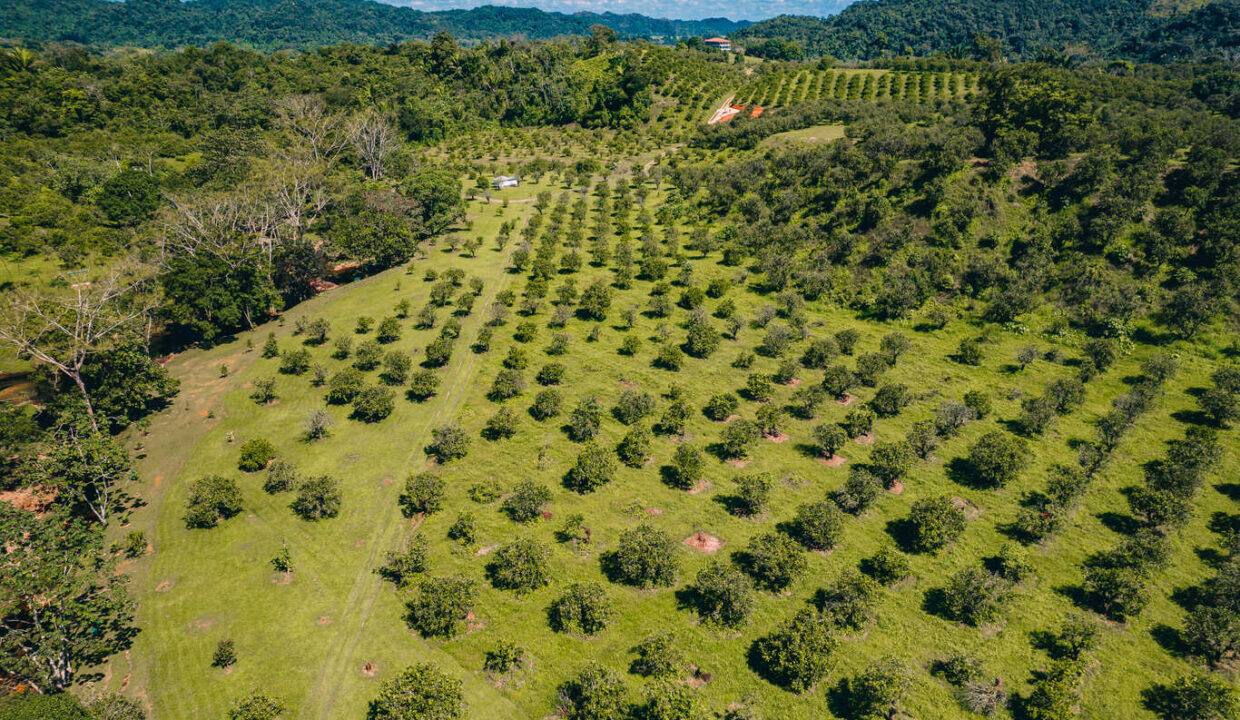 Eco20Park2028329