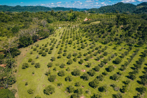 Eco20Park2028329