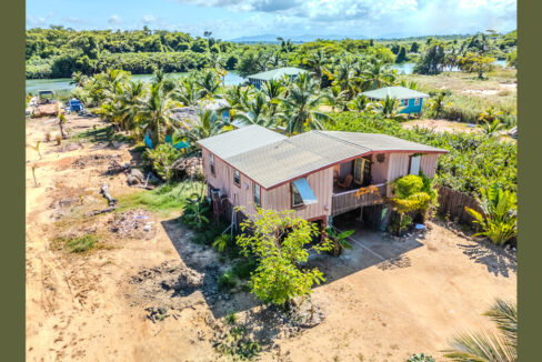 GreenIguana-showing-2-homes