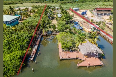 GreenIguana-showing-massive-dock