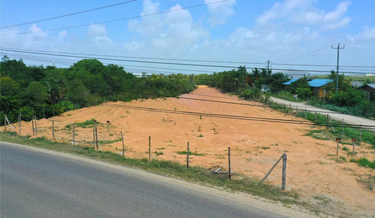 Iracema20Placencia202