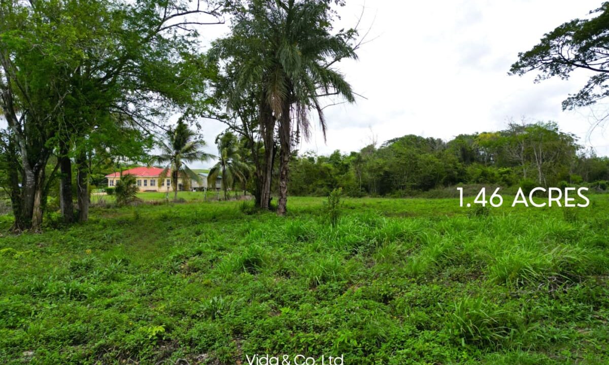Lot-for-Sale-in-La-Rivera-Belmopan-–-Prime-Residential-Land-2-scaled