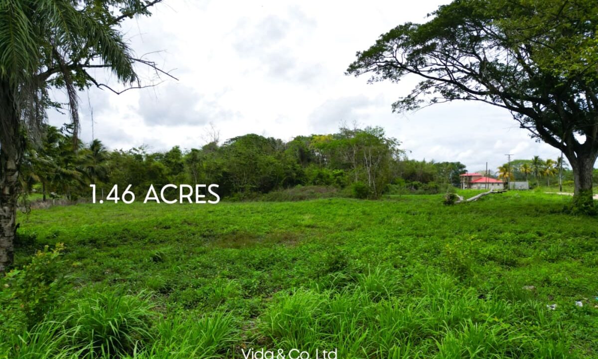 Lot-for-Sale-in-La-Rivera-Belmopan-–-Prime-Residential-Land-3-scaled