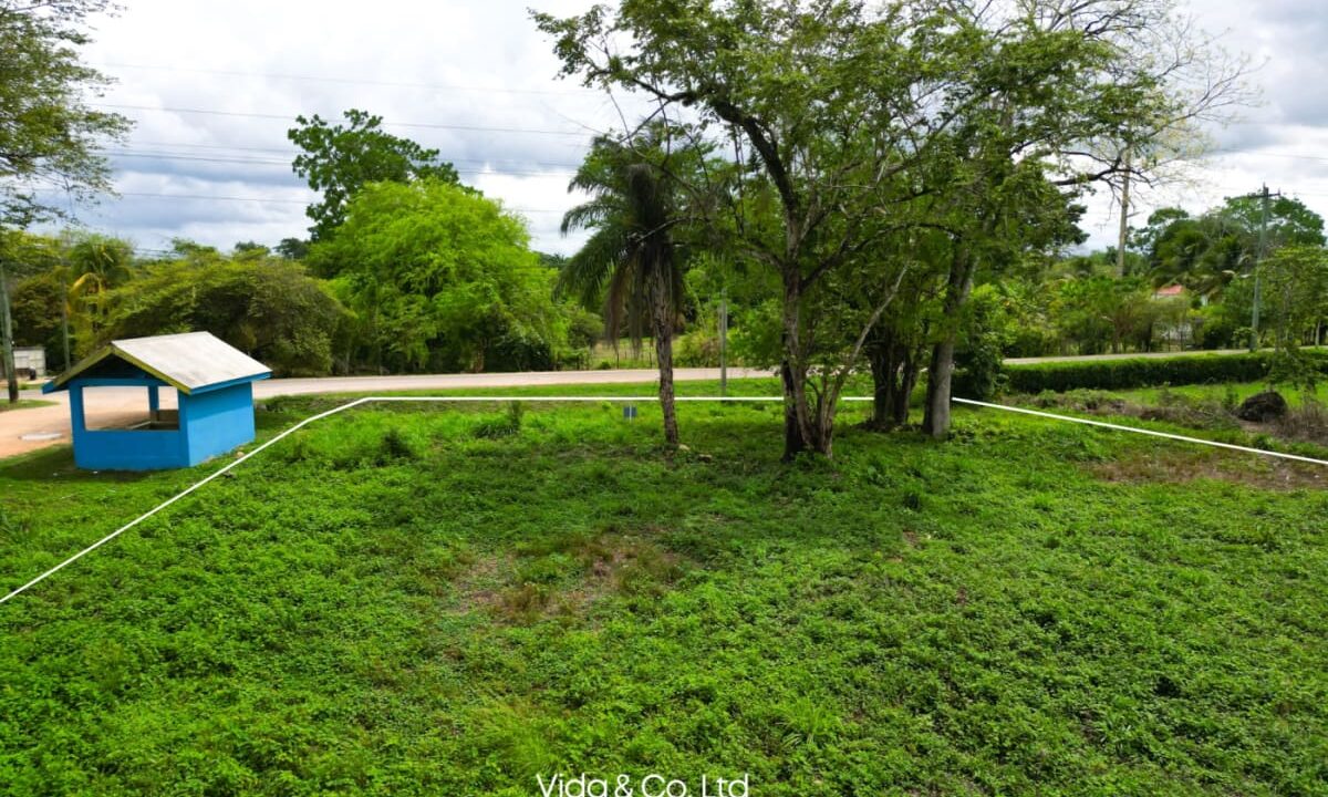 Lot-for-Sale-in-La-Rivera-Belmopan-–-Prime-Residential-Land-4-scaled