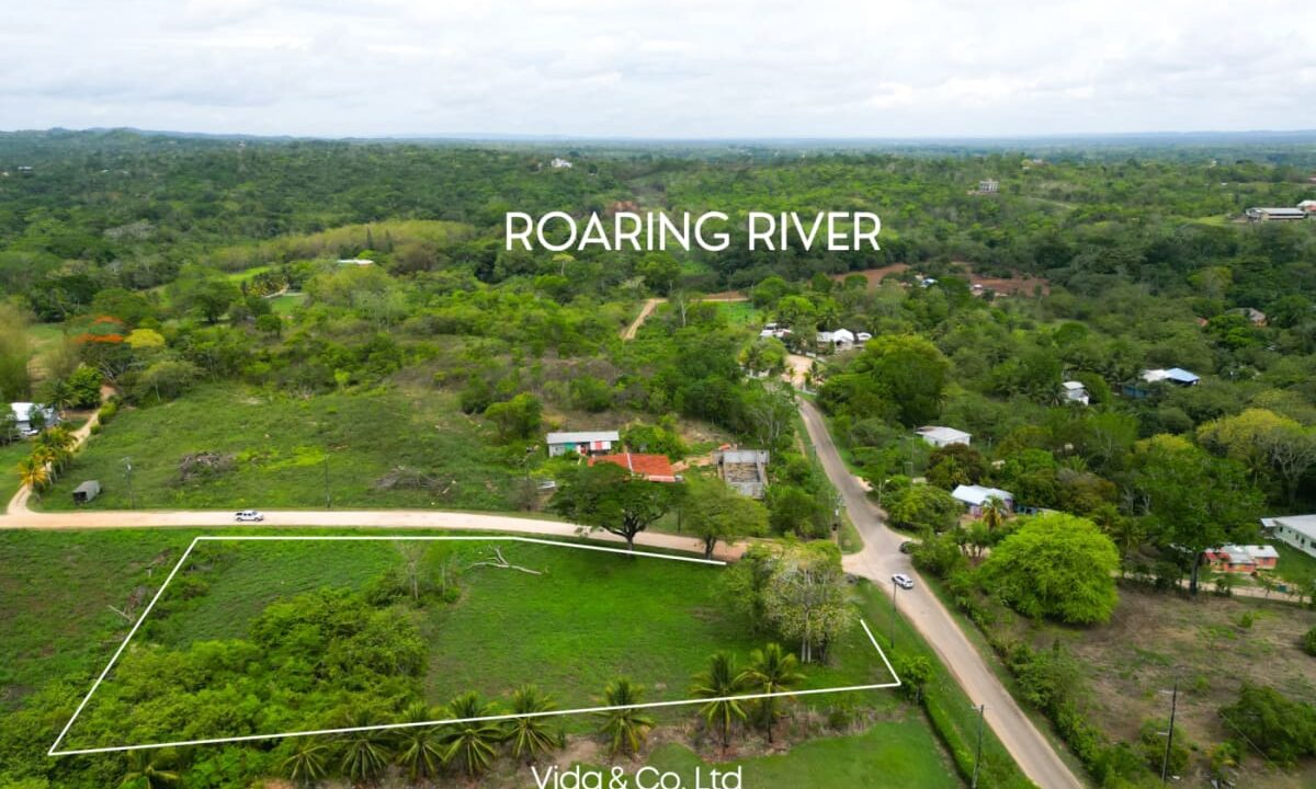 Lot-for-Sale-in-La-Rivera-Belmopan-–-Prime-Residential-Land-scaled