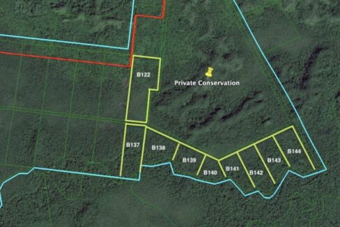 Manatee-Park-Conservation-Community-PHASE-1-copy-800x0-c-center