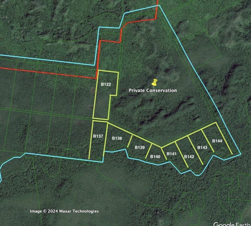 Manatee-Park-Conservation-Community-PHASE-1-copy-800x0-c-center