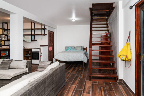 NoSnowChateau-27