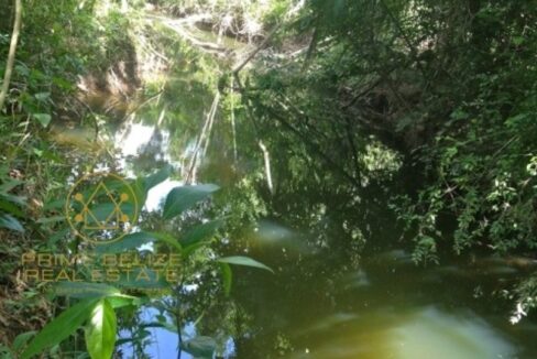 PF0003-Creek-View-800x0-c-center