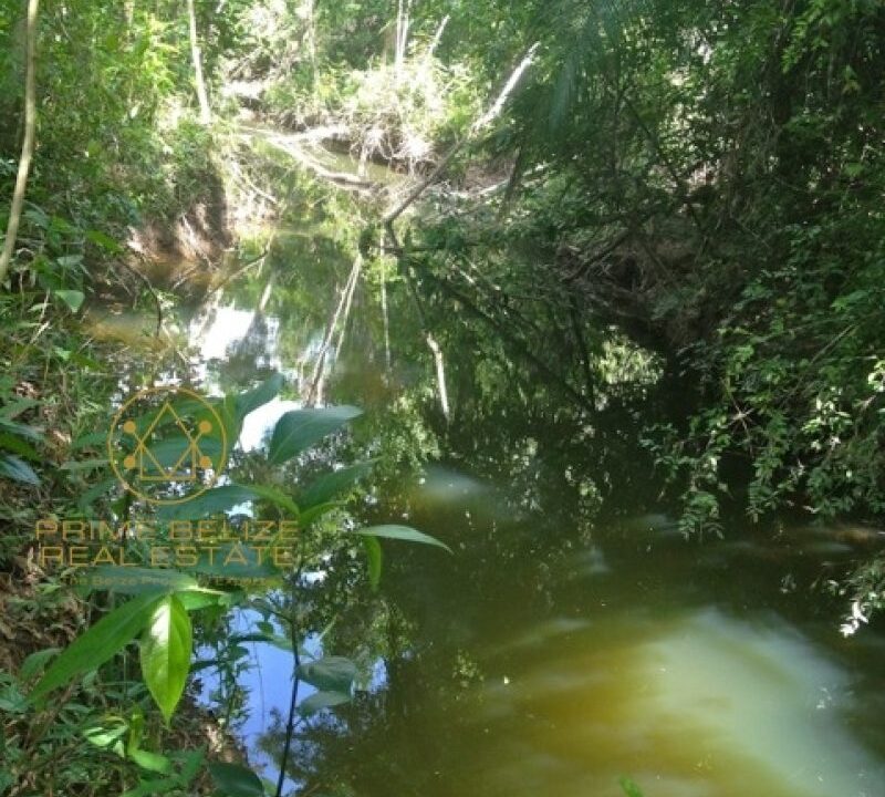 PF0003-Creek-View-800x0-c-center