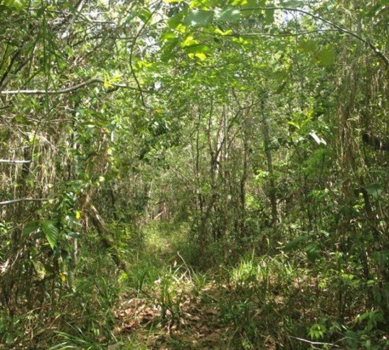 PF0003-Farm-Trail-1-800x0-c-center